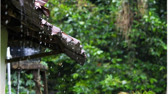 గురువారం నాడు కొత్తగూడెం, ఖమ్మం, నల్గొండ, సూర్యాపేట, మహబూబాబాద్‌, నాగర్‌ కర్నూల్‌, వనపర్తి, జోగులాంబ గద్వాల జిల్లాల్లో అక్కడక్కడ ఉరుములు, మెరుపులు, ఈదురుగాలులతో కూడిన వర్షాలు పడే అవకాశం ఉందని ఐఎండీ వెల్లడించింది. శుక్రవారం కూడా రాష్ట్రంలోని అనేక ప్రాంతాల్లో వర్షాలు కురిసే అవకాశం ఉంది. మరోవైపు బుధవారం పలు ప్రాంతాల్లో వర్షాలు పడ్డాయి. హైదరాబాద్‌లో సాయంత్రం 4 తర్వాత కొన్ని ప్రాంతాల్లో వర్షం కురిసింది.