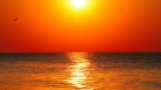 సూర్యోదయానికి ముందు స్నానం చేయడం - కార్తీక మాసంలో సూర్యోదయానికి ముందు స్నానం చేయడం అదృష్టాన్ని తెస్తుందని నమ్ముతారు. పొడవునా సూర్యోదయ సమయంలో స్నానం చేస్తే మంచిది.