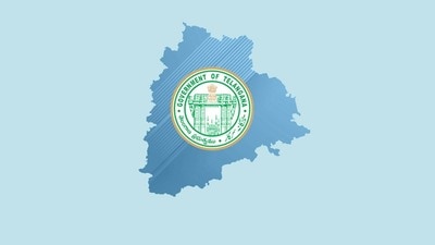 స్థానిక ఎన్నికలు స్థానిక ఎన్నికలు
