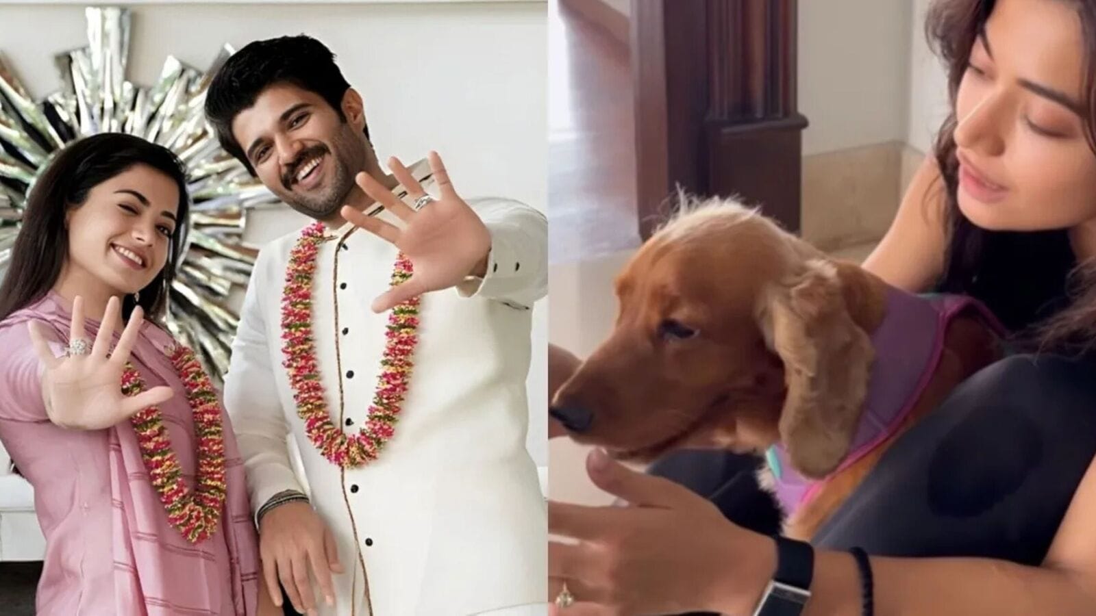 రష్మిక మందన్నా వేలికి డైమండ్ రింగ్, పెట్‌తో ఆట.. ఎంగేజ్‌మెంట్ రింగ్ వీడియో షేర్ చేసిన నేషనల్ క్రష్