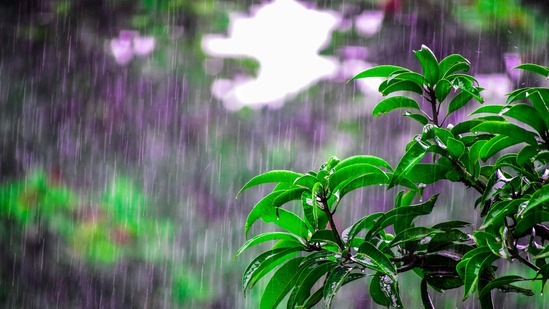 తెలంగాణ, ఏపీ వర్షాలు